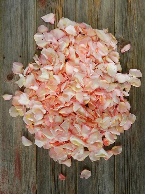 360 GRAMS LIGHT PINK ROSE PETALS